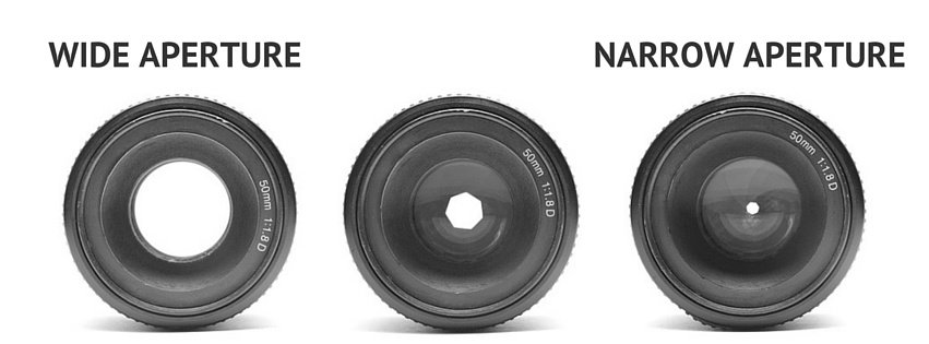 Wide Aperture Vs. Narrow Aperture Wide Aperture Vs. Narrow Aperture