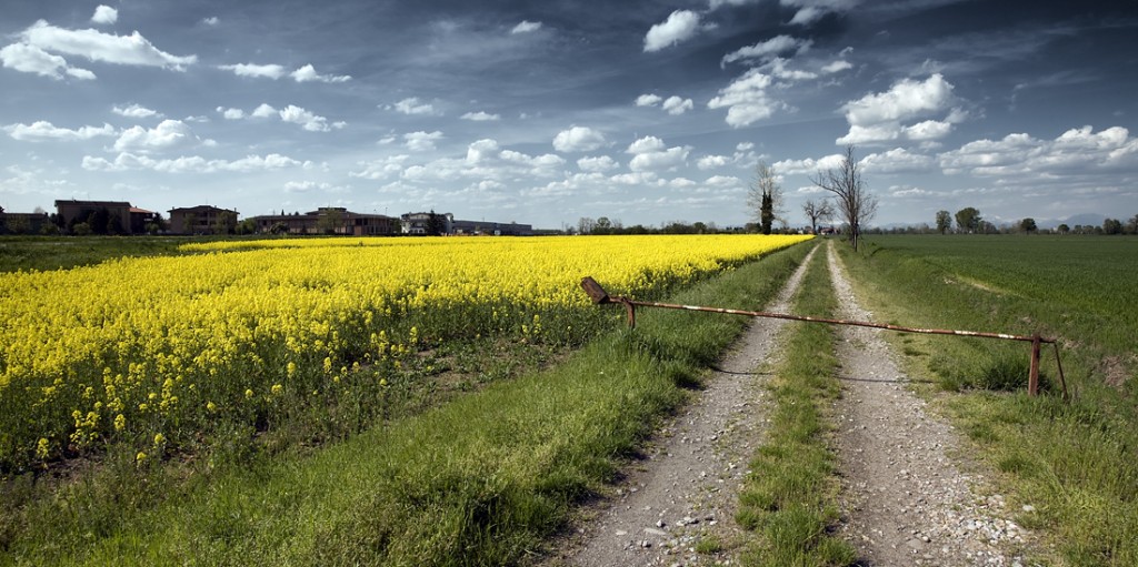 aperture priority