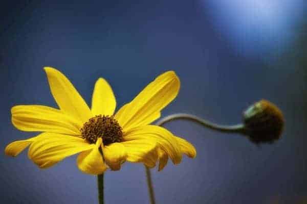 Better use of light and better composition. photo credit: Theophilos via photopin cc