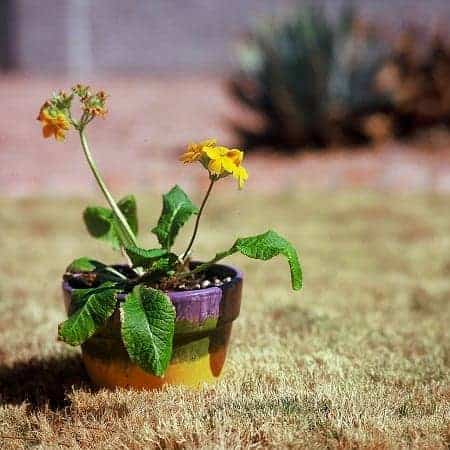 photo credit: kevin dooley via photopin cc