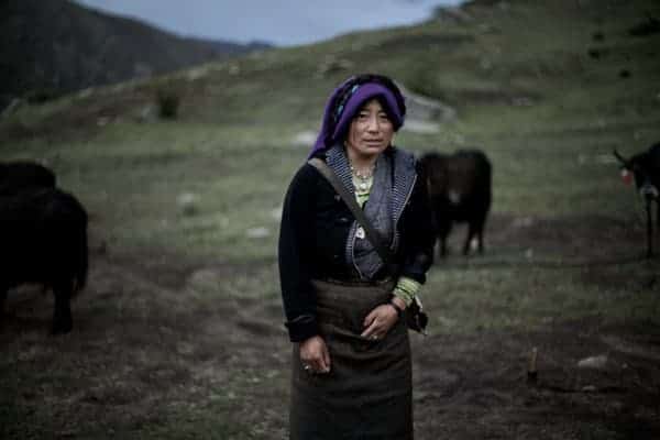 Nomad with Yak at Drigung Valley Tibet by Lyle Vincent