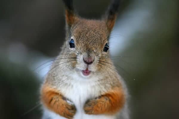 Hey maaaan! by Tomi Tapio K