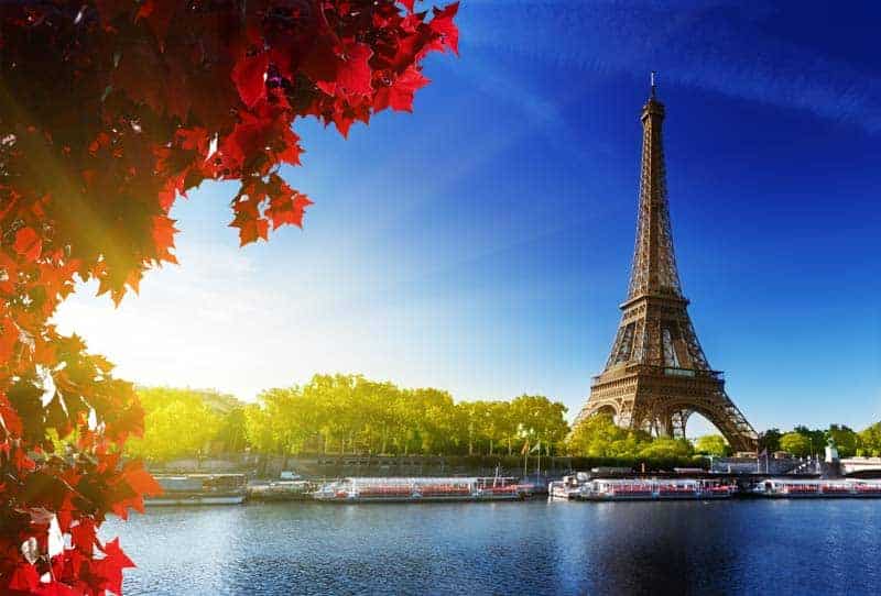 Eiffel Tower with Sun and Tree