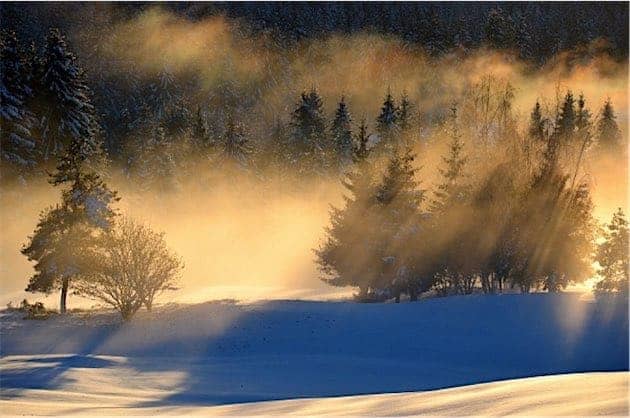 Sample Image for Best Zoom Lens taken with the The Nikon 16-85mm f/3.5-5.6G AF-S DX ED VR II