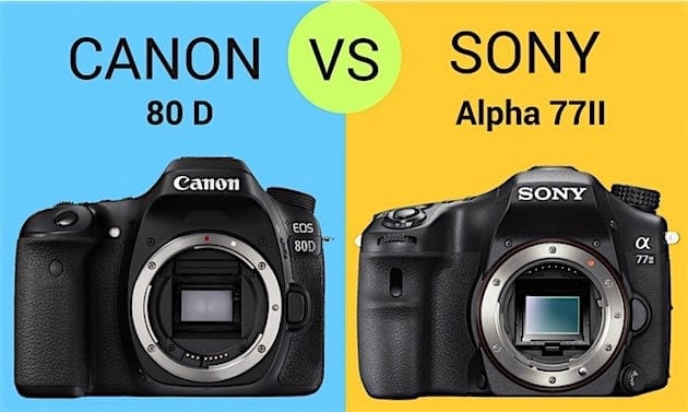 Comparison 80D Vs. Sony A77II