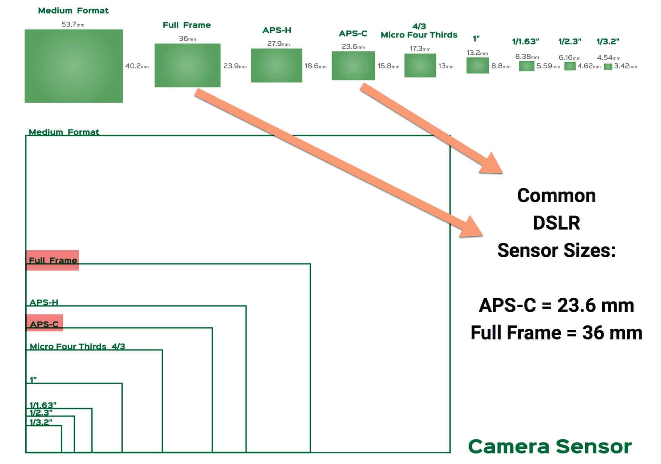 Dslr Camera Sensor Size | Hot Sex Picture