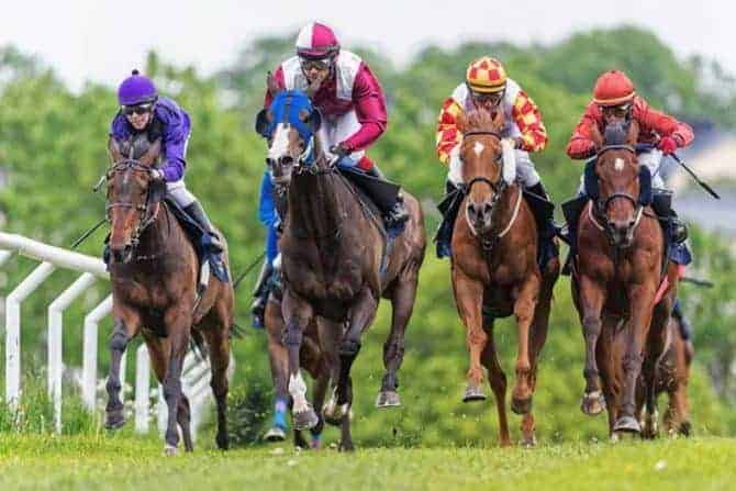 Stock Photo by Stefan Holm (Horses Racing)
