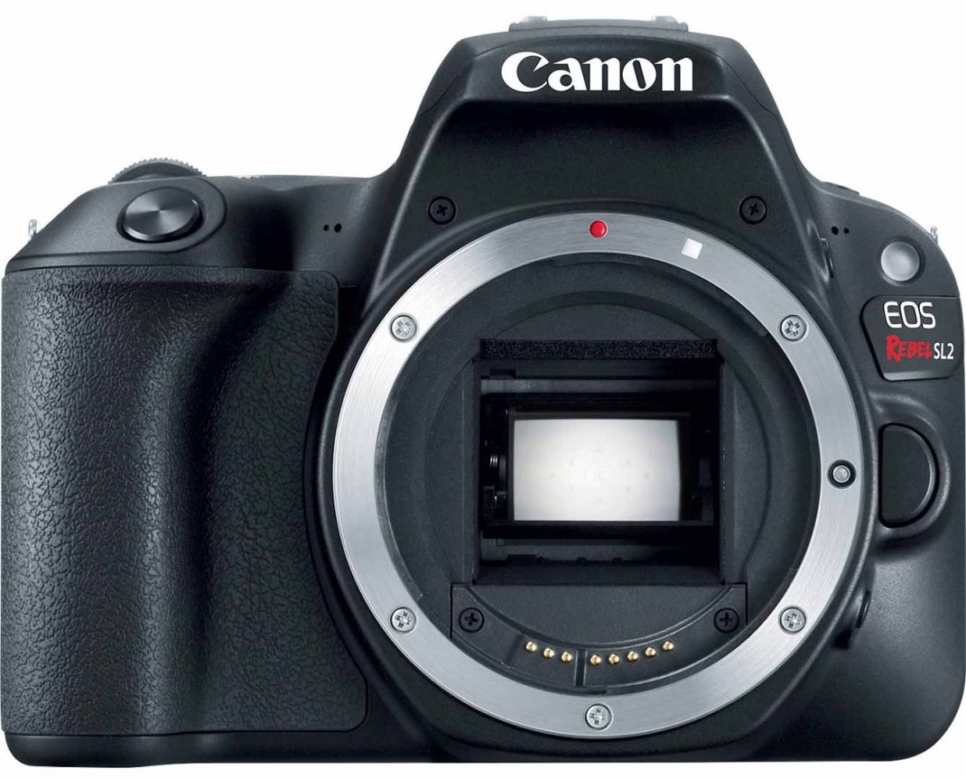 Canon Canon