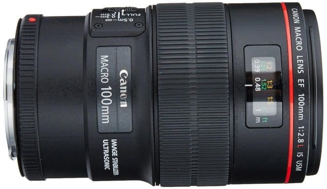 Canon EF 100mm f/2.8L Macro IS USM Lens