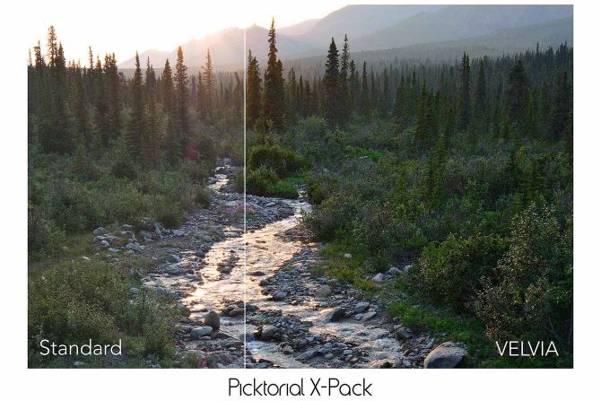 X-Pack sample
