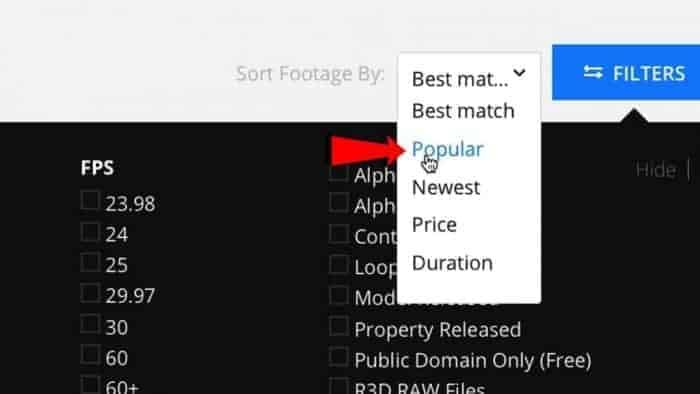 Search Engines (free tools to find popular and trending images) - Pond5.com Screenshot explained by Microstock Guru in his online course