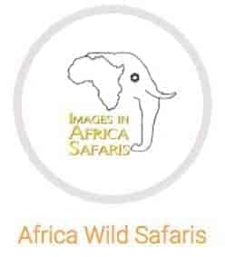 Get Discout on a Africa Wild Safari once you join the KelbyOne Pro Plan
