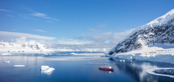 Antarctica Photography Tips: Look for Movements