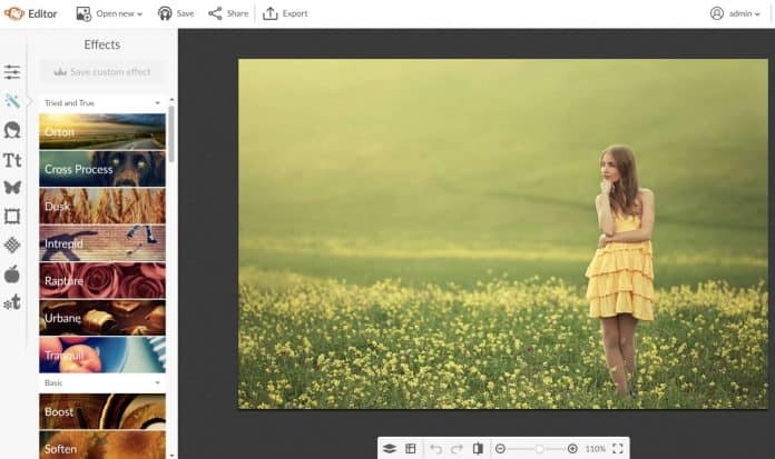 picmonkey review 2018 in