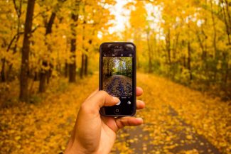 Forced perspective photography of a beautiful forest