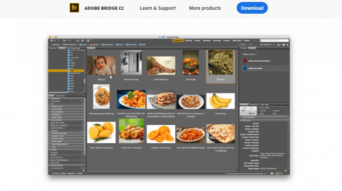 Adobe Bridge photo organization