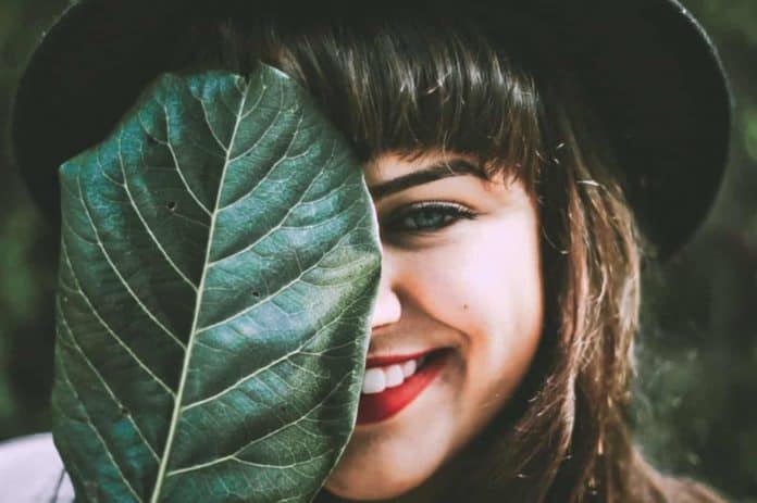 Free Luminar Presets - Review and Download Links Matte Effect - the free tailor-made Luminar Presets from BeArtPresets