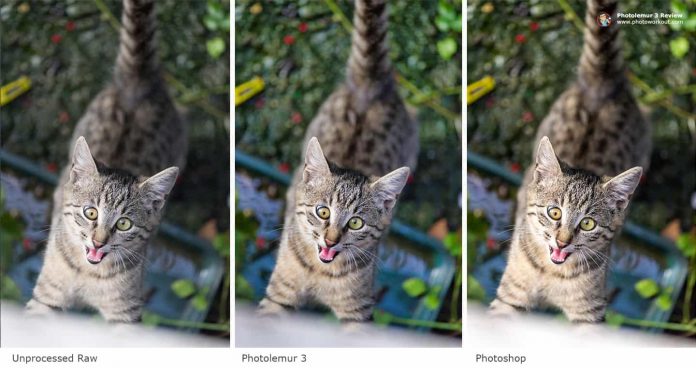 photolemur 3 review