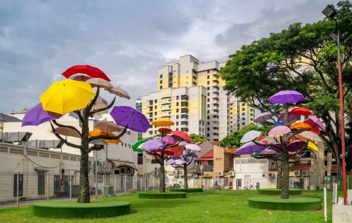 Umbrella Trees in Singapore's Little India