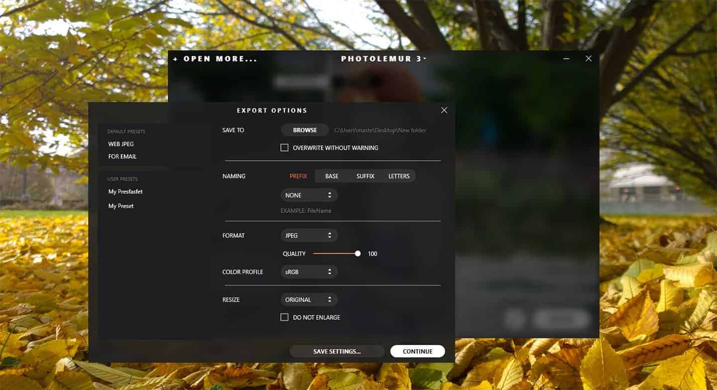 review photolemur 3
