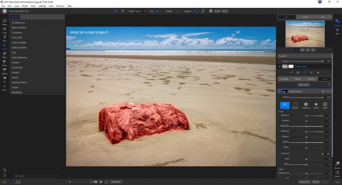 ON1 Photo RAW 2019 Review - Local Adjustment tool
