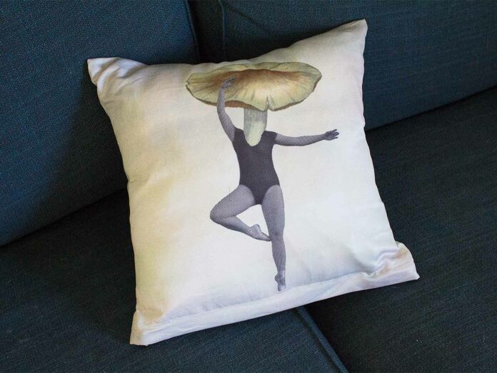 canvas-champ-pillow-2 anvas Champ Pillow Print Review