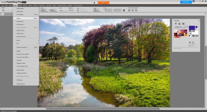 PaintShop Pro 2019 Review - Image editing