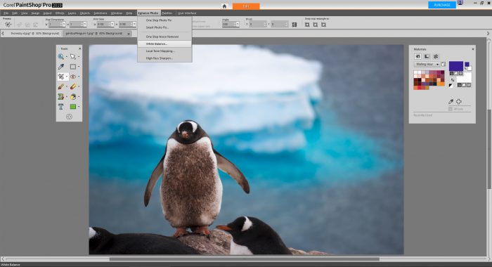 PaintShop Pro 2019 Review - Enhance Photo