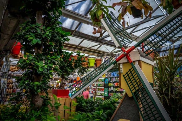 What to photograph in Amsterdam - Flower Market