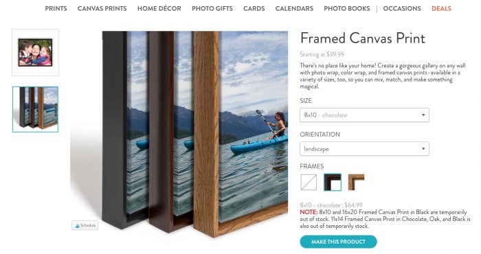 Snapfish Framed Canvas Print Options (Sreenshot of the Sanpafish.com Website)
