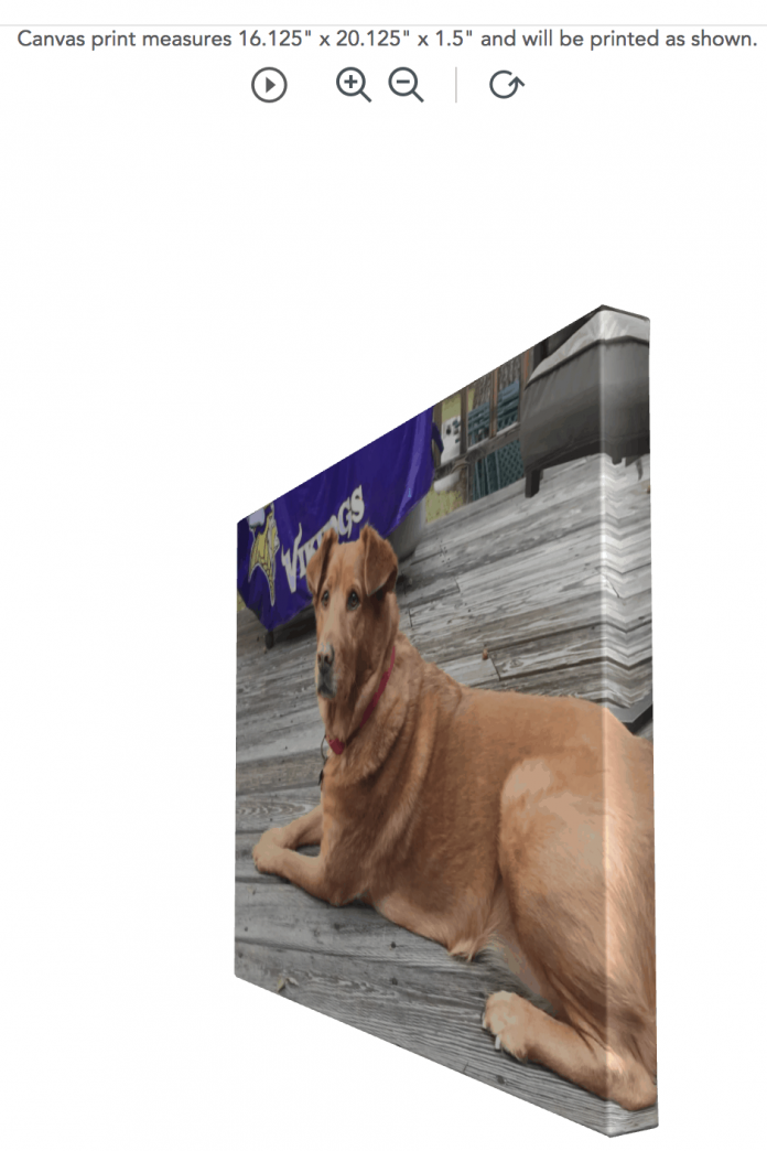 Shutterfly canvas preview
