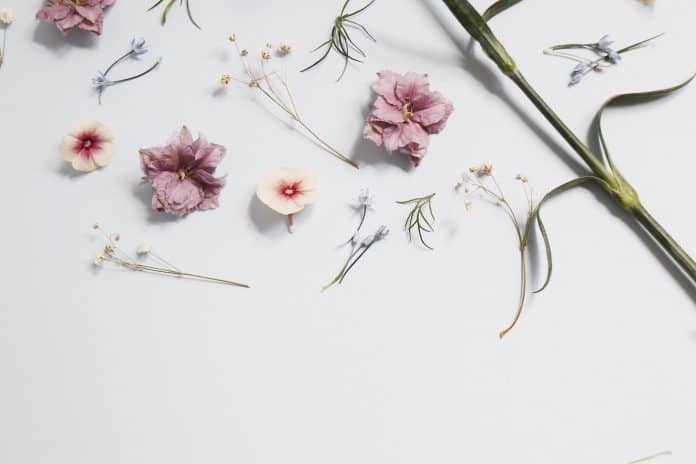 flower flat lay