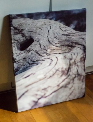 canvas photo printers