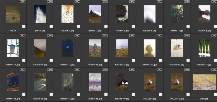 ACDSee photo collection