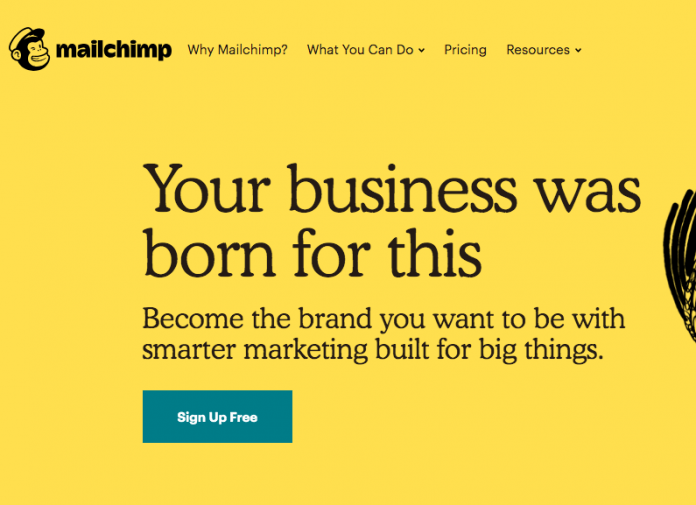 email marketing for photography business