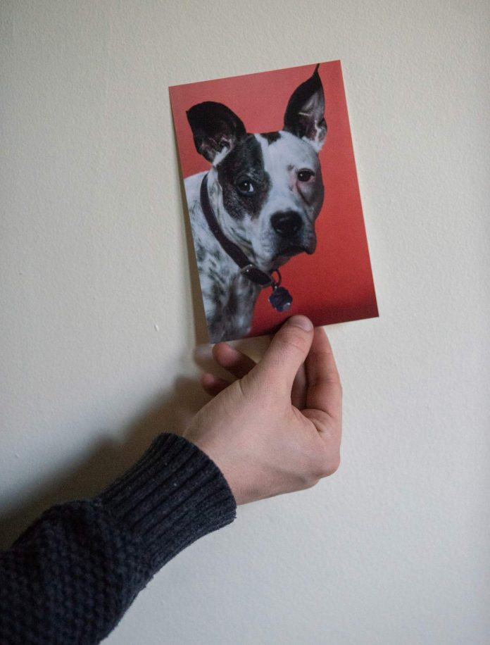 photo printing