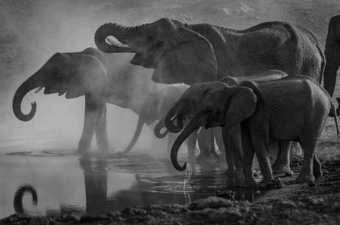 composition tips photography