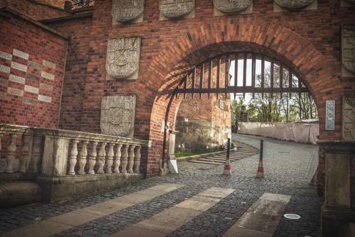 Luminar Flex Review - Krakow edited