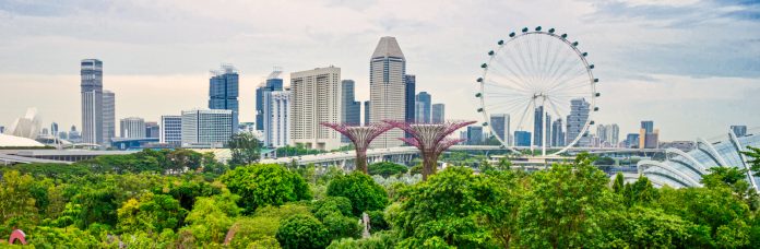 Luminar Flex Review - Singapore edited