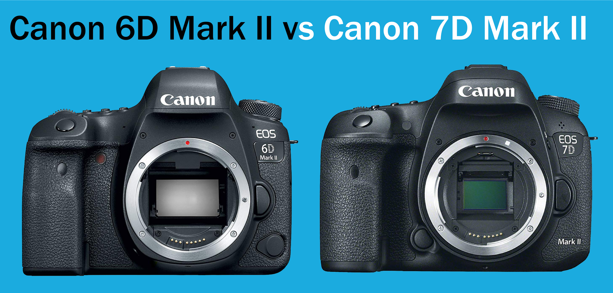 room handtekening Dor Canon 6D Mark II vs. Canon 7D Mark II: Better Image Quality or Speed?