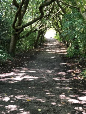 burst mode child running through trees.