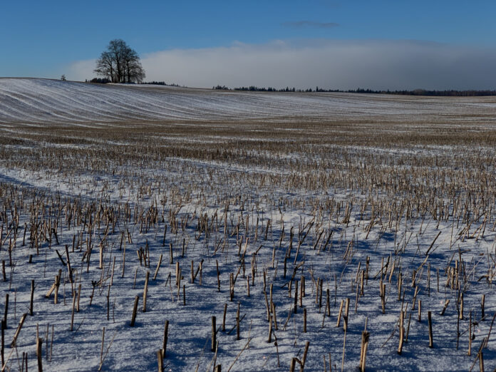 fields Sharp smartphone photography