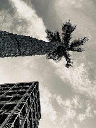 Sharp smartphone photography