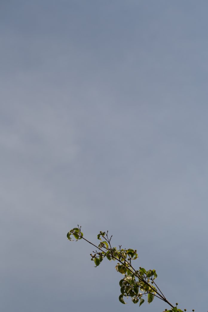 Polarizing filter effects