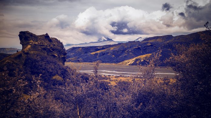 Edited photo using Polarr filters
