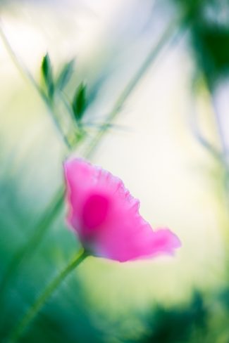 Use manual focussing to improve your photos