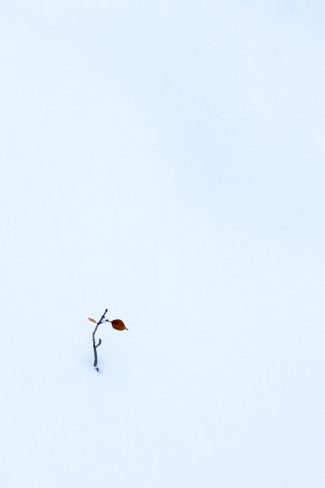 Minimalist photo example