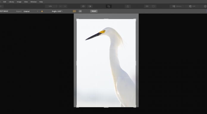 crop tool
