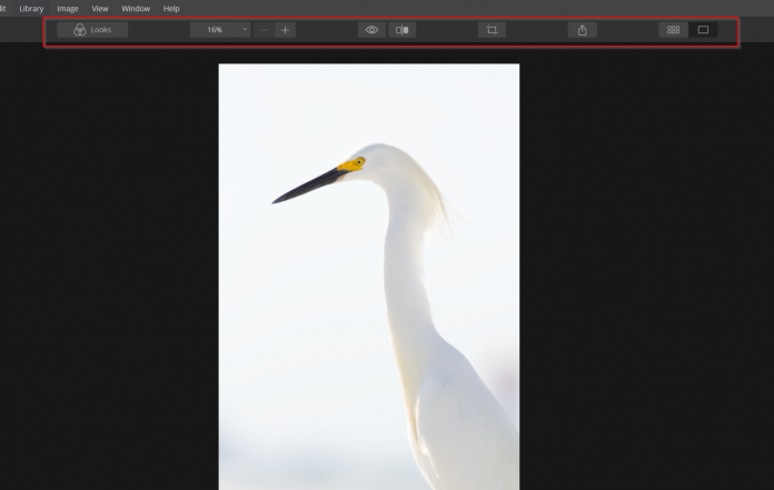 looks and edit tools