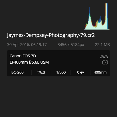 exif data